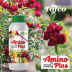 Amino Plus - Image 2