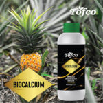 Biocalcium - Image 2