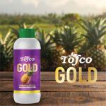 Pineapple Special - Image 2