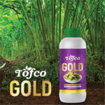 Cardamom Special - Image 2