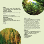 Quick Act - Verticillium Lecanii - Image 3