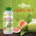 Quick Act - Verticillium Lecanii - Image 2