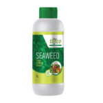 Seaweed