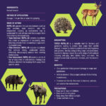 Animal Repellent - Image 3