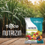 Nutrizin - Image 2