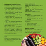 Nutricalxi - Image 3